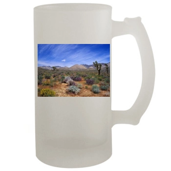 Desert 16oz Frosted Beer Stein