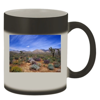 Desert Color Changing Mug