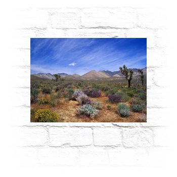 Desert Metal Wall Art