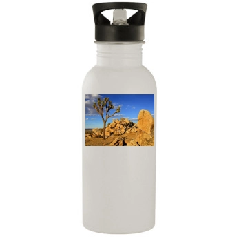 Desert Stainless Steel Water Bottle