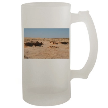 Desert 16oz Frosted Beer Stein