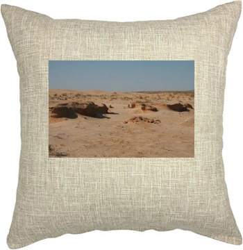 Desert Pillow