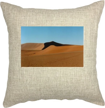 Desert Pillow