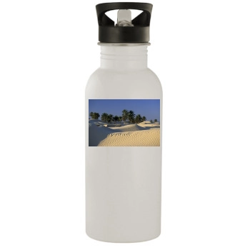 Desert Stainless Steel Water Bottle