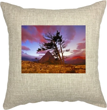 Desert Pillow