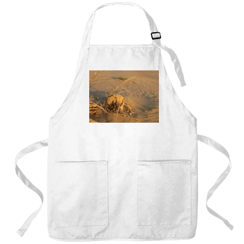 Desert Apron