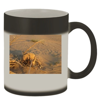 Desert Color Changing Mug