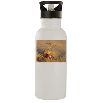 Desert Stainless Steel Water Bottle