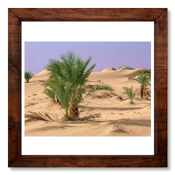 Desert 12x12