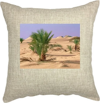 Desert Pillow