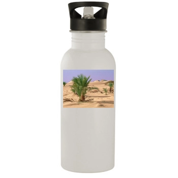 Desert Stainless Steel Water Bottle