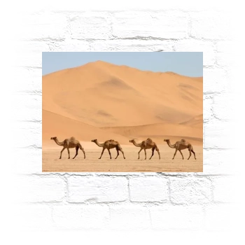 Desert Metal Wall Art