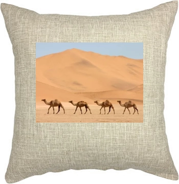 Desert Pillow