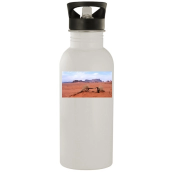 Desert Stainless Steel Water Bottle