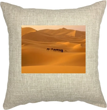 Desert Pillow