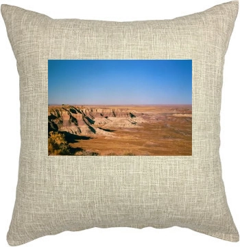 Desert Pillow