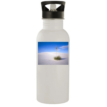 Desert Stainless Steel Water Bottle