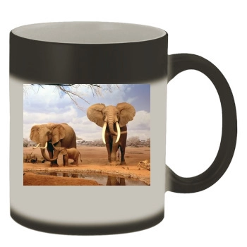 Desert Color Changing Mug