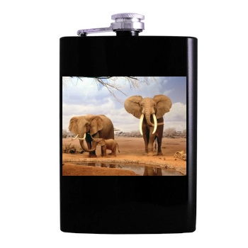 Desert Hip Flask