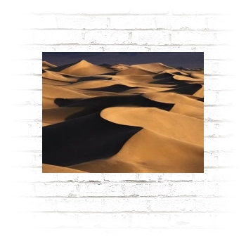 Desert Poster