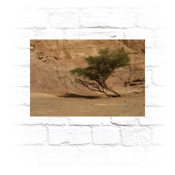 Desert Metal Wall Art