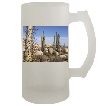 Desert 16oz Frosted Beer Stein