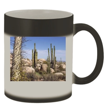 Desert Color Changing Mug