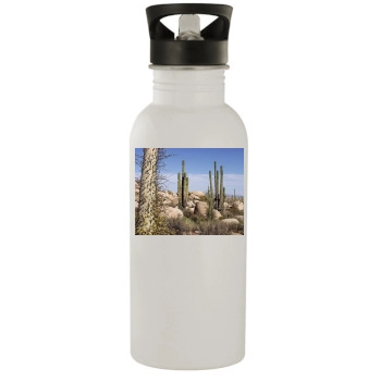 Desert Stainless Steel Water Bottle