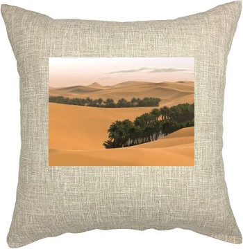 Desert Pillow