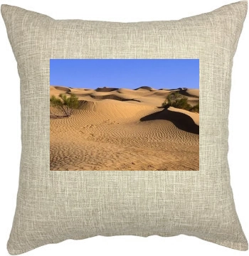 Desert Pillow