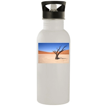 Desert Stainless Steel Water Bottle