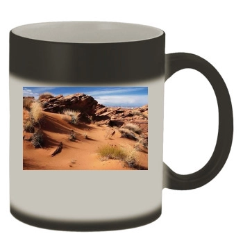 Desert Color Changing Mug