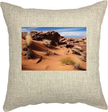 Desert Pillow