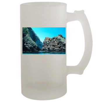 Islands 16oz Frosted Beer Stein