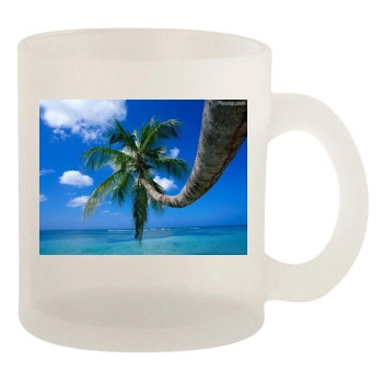 Islands 10oz Frosted Mug