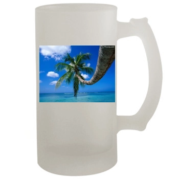 Islands 16oz Frosted Beer Stein