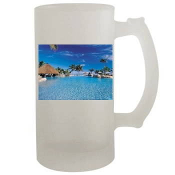 Islands 16oz Frosted Beer Stein