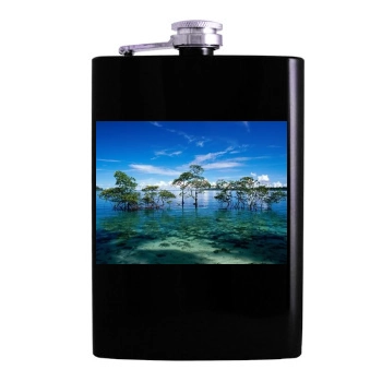 Islands Hip Flask