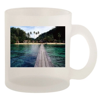 Islands 10oz Frosted Mug