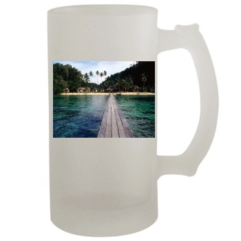 Islands 16oz Frosted Beer Stein