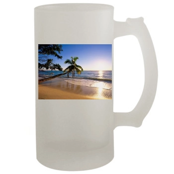 Islands 16oz Frosted Beer Stein