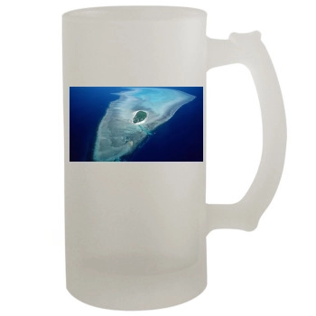 Islands 16oz Frosted Beer Stein