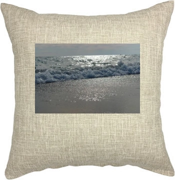 Oceans Pillow