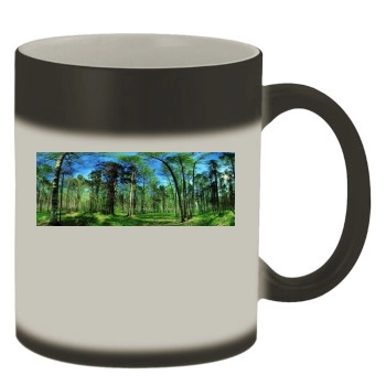 Forests Color Changing Mug