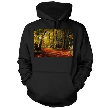 Forests Mens Pullover Hoodie Sweatshirt