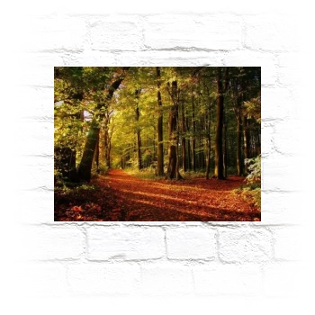 Forests Metal Wall Art