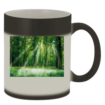 Forests Color Changing Mug