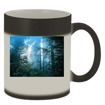 Forests Color Changing Mug