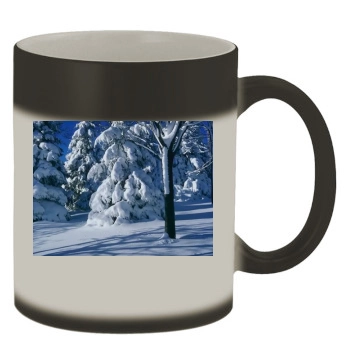 Forests Color Changing Mug