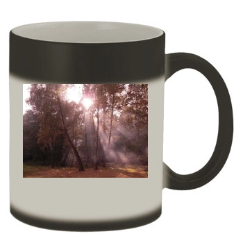 Forests Color Changing Mug